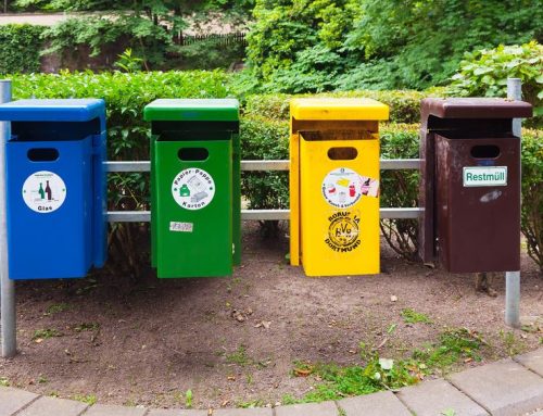 Abfalltrennung: Das können Sie für die Umwelt tun!